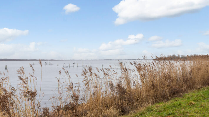 dijkmeent 2 almere kosmeier.nl verkocht